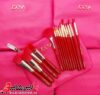 ست براش 15 عددی کیفی زووا Zoeva 15 Pcs Brush Set